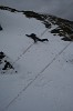Basic arrest - winter skills scotland